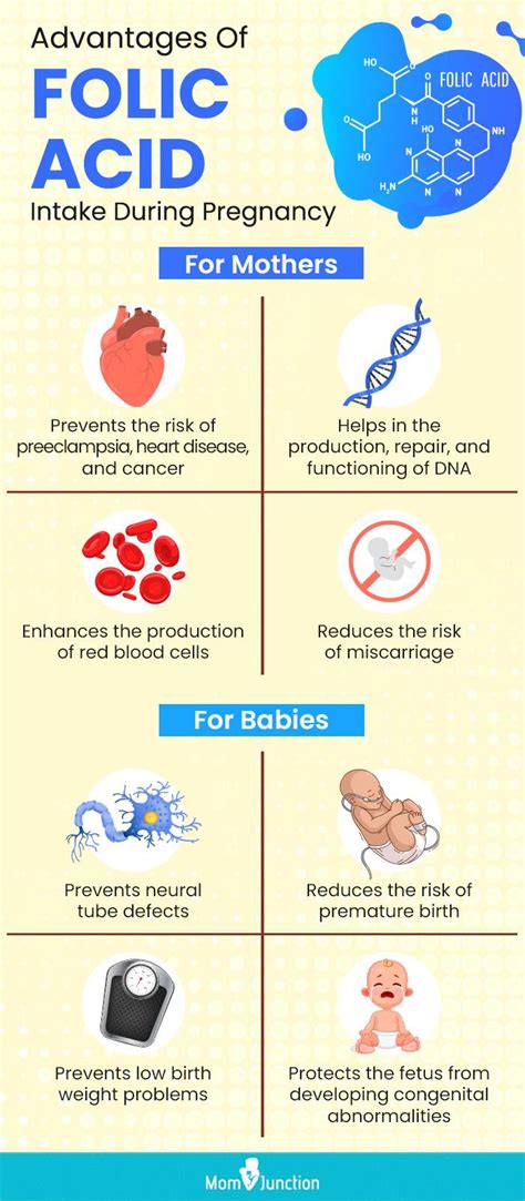 prc requirements|folic acid requirement pregnancy.